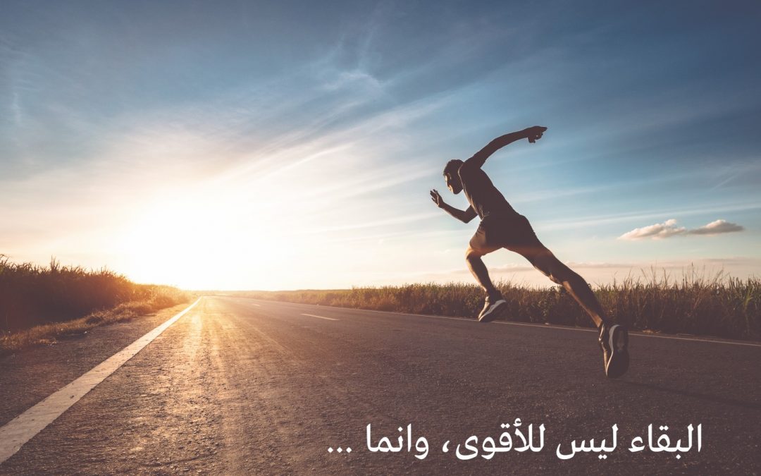 البقاء ليس للأقوى، وانما …. ؟